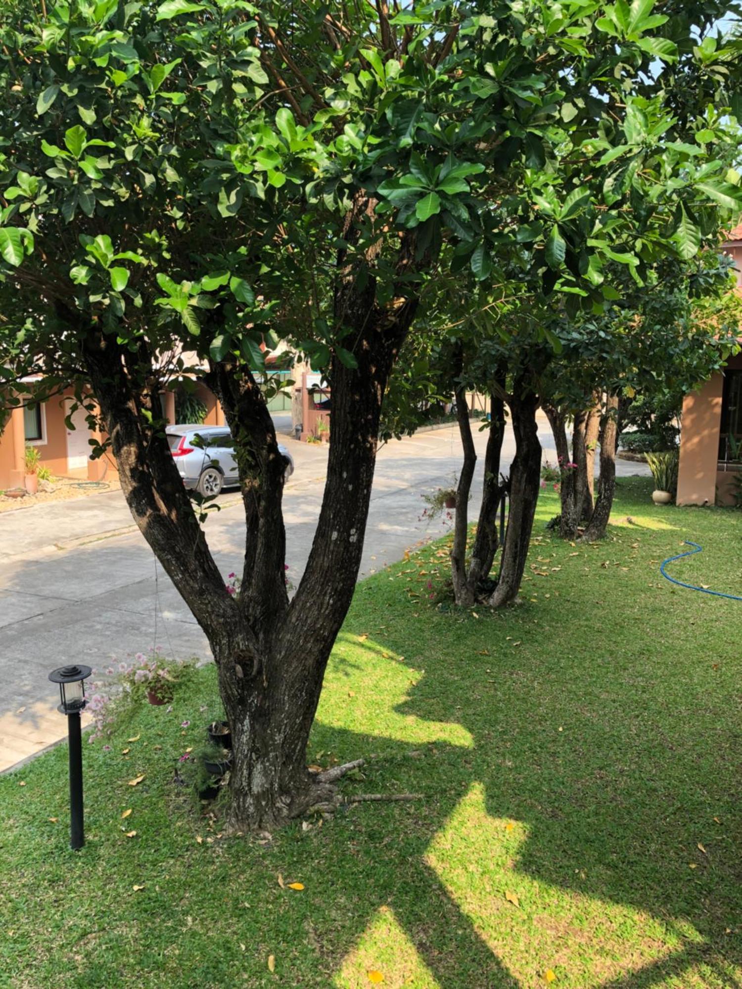 Areena Resort And Hotel 우따라딧 외부 사진